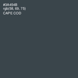 #3A454B - Cape Cod Color Image